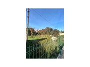 Terreno R�stico - Vila de Cucuj�es, Oliveira de Azem�is, Aveiro - Miniatura: 5/7
