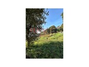 Terreno R�stico - Vila de Cucuj�es, Oliveira de Azem�is, Aveiro - Miniatura: 6/7