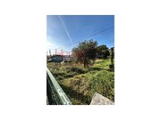 Terreno R�stico - Vila de Cucuj�es, Oliveira de Azem�is, Aveiro - Miniatura: 7/7