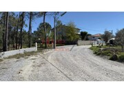 Terreno Rstico - S. Joo de Lourosa, Viseu, Viseu - Miniatura: 4/9