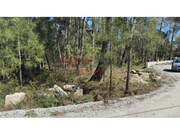Terreno Rstico - S. Joo de Lourosa, Viseu, Viseu - Miniatura: 5/9