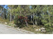 Terreno Rstico - S. Joo de Lourosa, Viseu, Viseu - Miniatura: 7/9