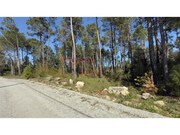 Terreno Rstico - S. Joo de Lourosa, Viseu, Viseu - Miniatura: 8/9