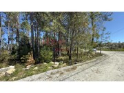 Terreno Rstico - S. Joo de Lourosa, Viseu, Viseu - Miniatura: 9/9