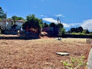 Terreno Rstico - TERMAS DE SO VICENTE, Penafiel, Porto - Miniatura: 9/9