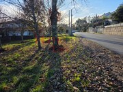 Terreno R�stico - Barreiros, Viseu, Viseu - Miniatura: 1/9