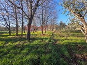 Terreno R�stico - Barreiros, Viseu, Viseu - Miniatura: 4/9