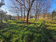 Terreno R�stico - Barreiros, Viseu, Viseu - Miniatura: 5/9