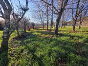 Terreno R�stico - Barreiros, Viseu, Viseu - Miniatura: 6/9