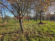 Terreno R�stico - Barreiros, Viseu, Viseu - Miniatura: 7/9