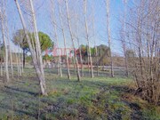 Terreno R�stico - Santar, Nelas, Viseu - Miniatura: 4/9