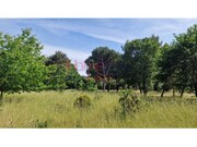 Terreno R�stico - Santar, Nelas, Viseu - Miniatura: 5/9