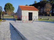 Terreno R�stico - Santar, Nelas, Viseu - Miniatura: 6/9