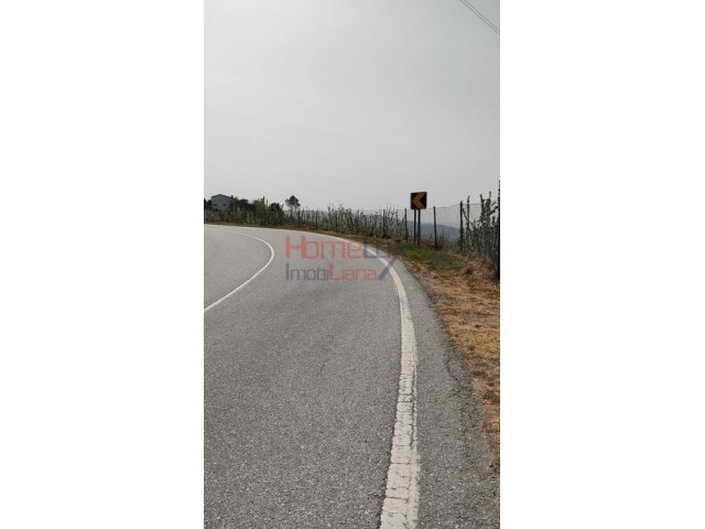 Terreno R�stico - Barr�, Resende, Viseu - Imagem grande