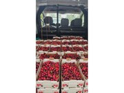 Terreno R�stico - Barr�, Resende, Viseu - Miniatura: 2/9