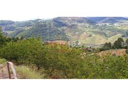 Terreno R�stico - Barr�, Resende, Viseu - Miniatura: 5/9