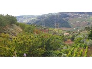 Terreno R�stico - Barr�, Resende, Viseu - Miniatura: 8/9