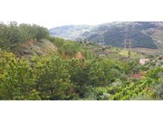 Terreno R�stico - Barr�, Resende, Viseu - Miniatura: 9/9