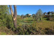 Terreno R�stico - �gueda, �gueda, Aveiro - Miniatura: 4/9
