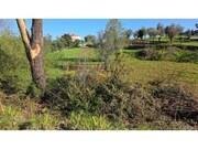 Terreno R�stico - �gueda, �gueda, Aveiro - Miniatura: 7/9