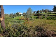 Terreno R�stico - �gueda, �gueda, Aveiro - Miniatura: 8/9