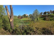 Terreno R�stico - �gueda, �gueda, Aveiro - Miniatura: 9/9