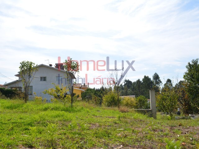 Terreno Urbano - Nogueira do Cravo, Oliveira de Azem�is, Aveiro - Imagem grande