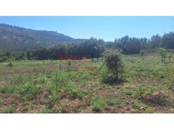 Terreno R�stico - Mangualde, Mangualde, Viseu