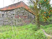 Moradia T2 - Reigoso, Oliveira de Frades, Viseu - Miniatura: 3/9