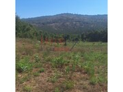 Terreno R�stico - Mangualde, Mangualde, Viseu - Miniatura: 1/8
