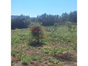 Terreno R�stico - Mangualde, Mangualde, Viseu - Miniatura: 2/8