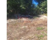 Terreno R�stico - Mangualde, Mangualde, Viseu - Miniatura: 3/8