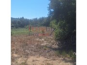 Terreno R�stico - Mangualde, Mangualde, Viseu - Miniatura: 4/8