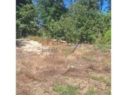 Terreno R�stico - Mangualde, Mangualde, Viseu - Miniatura: 5/8