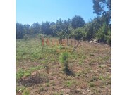 Terreno R�stico - Mangualde, Mangualde, Viseu - Miniatura: 6/8
