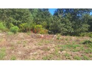 Terreno R�stico - Mangualde, Mangualde, Viseu - Miniatura: 8/8