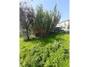 Terreno R�stico - Rio de Loba, Viseu, Viseu - Miniatura: 1/1