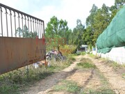 Terreno Urbano - Nogueira do Cravo, Oliveira de Azem�is, Aveiro - Miniatura: 4/9