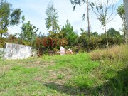 Terreno Urbano - Nogueira do Cravo, Oliveira de Azem�is, Aveiro - Miniatura: 5/9