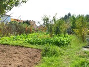 Terreno Urbano - Nogueira do Cravo, Oliveira de Azem�is, Aveiro - Miniatura: 6/9