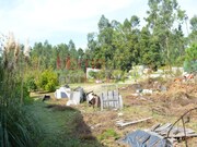 Terreno Urbano - Nogueira do Cravo, Oliveira de Azem�is, Aveiro - Miniatura: 9/9