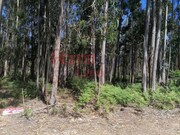 Terreno Rstico - gueda, gueda, Aveiro - Miniatura: 1/2