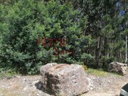 Terreno Rstico - gueda, gueda, Aveiro - Miniatura: 2/2