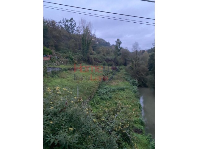 Terreno Rústico - Oliveira de Azemeis, Oliveira de Azeméis, Aveiro - Imagem grande