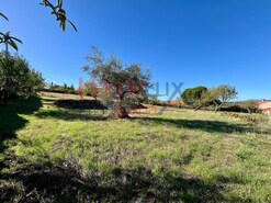 Terreno Rstico - Carviais, Torre de Moncorvo, Bragana