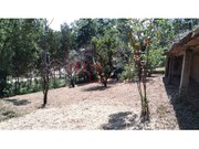 Terreno Rstico - gueda, gueda, Aveiro - Miniatura: 2/6
