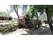 Terreno Rstico - gueda, gueda, Aveiro - Miniatura: 4/6