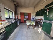 Moradia T4 - Cepes, Lamego, Viseu - Miniatura: 9/9