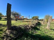 Terreno Rústico - Carviçais, Torre de Moncorvo, Bragança - Miniatura: 1/9