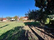 Terreno Rústico - Carviçais, Torre de Moncorvo, Bragança - Miniatura: 2/9